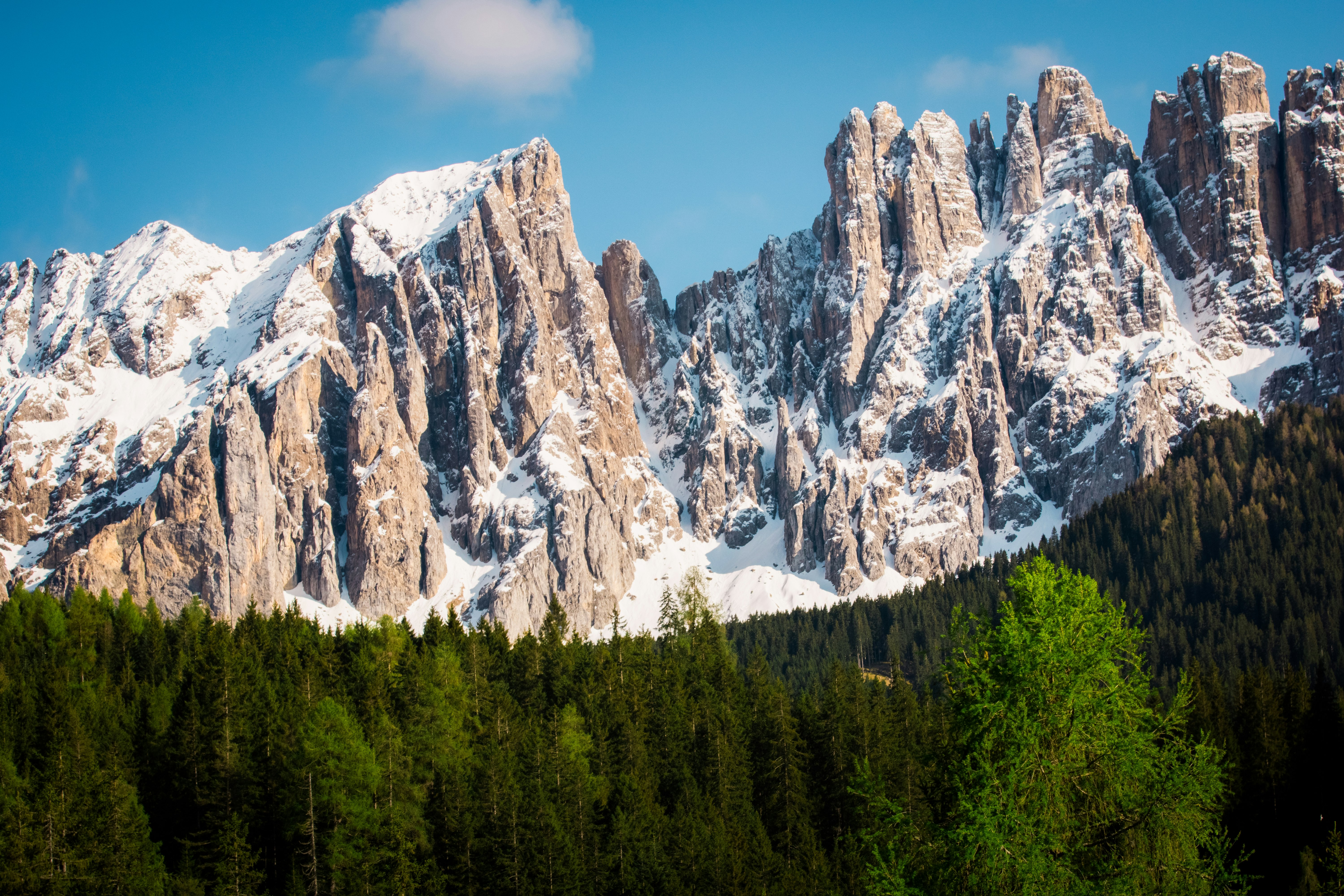 green pine trees near mountain under blue sky during daytime